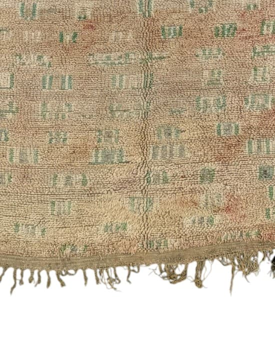 Close-up detail of HB3103, Pale Grid - Soufiane Zarib
