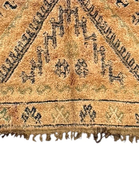 Close-up detail of HB3210, Ash Trace - Soufiane Zarib