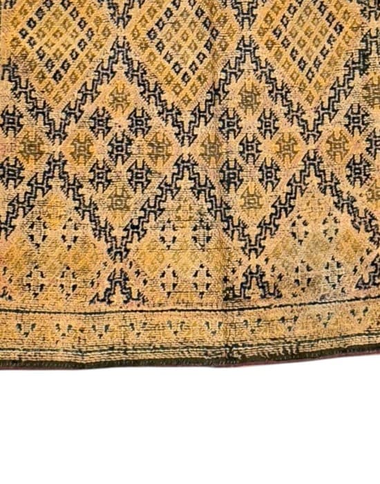 Close-up detail of Kil4978, Sun-Kissed Trail - Soufiane Zarib
